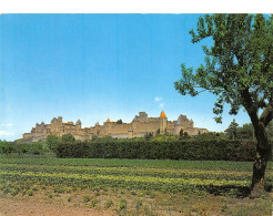 11-CARCASSONNE-N°4008-D/0273 - Carcassonne