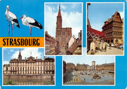 67-STRASBOURG-N°4008-D/0239 - Strasbourg