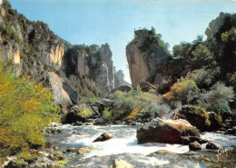 48-GORGES DU TARN-N°4008-C/0299 - Gorges Du Tarn