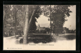 AK Colombier, Les Allees Et Le Chateau  - Colombier