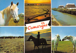 13-CAMARGUE-N°4009-B/0389 - Other & Unclassified