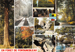 77-FONTAINEBLEAU-N°4009-B/0249 - Fontainebleau