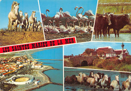 13-CAMARGUE-N°4009-B/0017 - Autres & Non Classés