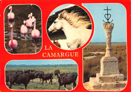 13-CAMARGUE-N°4009-A/0145 - Other & Unclassified