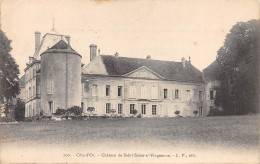 21-SAINT SEINE SUR VINGEANNE-Château-N 6006-G/0275 - Autres & Non Classés