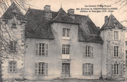 15-CHAMPAGNAC LES MINES-Château De Bassignac-N 6006-G/0005 - Other & Unclassified