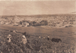 51-REIMS-N°4009-D/0391 - Reims