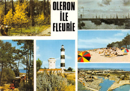 17-ILE D OLERON-N°4009-D/0113 - Ile D'Oléron
