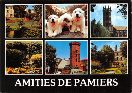 09-PAMIERS-N°4009-D/0083 - Pamiers