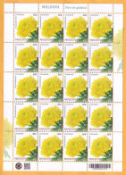 2023  Moldova   „Flora. Garden Flowers.”  Sheet  Chrysanthemum 0,50 Mint - Moldavie