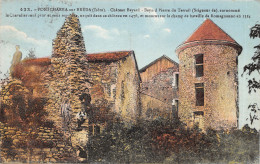 38-PONTCHARRA SUR BREDA-CHATEAU BAYARD-6011-N 6007-C/0001 - Autres & Non Classés