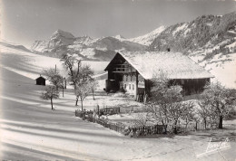 73-LES ALPES-N°4010-C/0171 - Autres & Non Classés