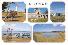 17-ILE DE RE-N°4010-C/0049 - Ile De Ré