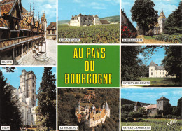 21-PAYS DE BOURGOGNE-N°4010-B/0365 - Altri & Non Classificati