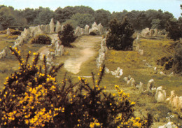 56-CARNAC-N°4010-B/0367 - Carnac