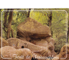 77-FONTAINEBLEAU-N°4010-B/0235 - Fontainebleau