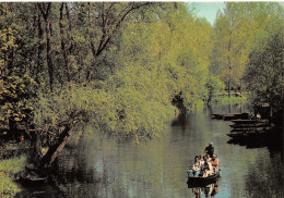 79-MARAIS POITEVIN-N°4010-B/0051 - Sonstige & Ohne Zuordnung