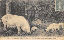 87-LIMOUSIN-Famille De Porcs-N 6007-F/0065 - Autres & Non Classés