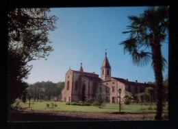 Cp, 65, Tarasteix, Notre Dame De L'Espérance, Vue Générale, Vierge, Ed. Lozzi - Autres & Non Classés