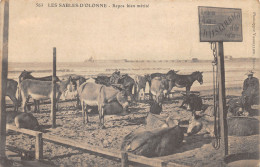 85-LES SABLES D OLONNE-ANES AU REPOS-N 6007-H/0309 - Sables D'Olonne