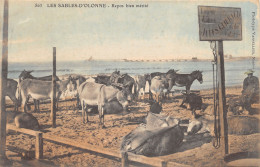 85-LES SABLES D OLONNE-ANES AU REPOS-N 6007-H/0307 - Sables D'Olonne