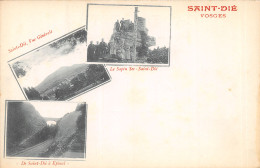 88-SAINT DIE DES VOSGES-N 6007-H/0141 - Saint Die