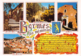 83-BORMES LES MIMOSAS-N°4011-C/0353 - Bormes-les-Mimosas