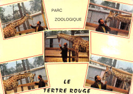 72-ZOO LE TERTRE ROUGE-N°4011-C/0227 - Autres & Non Classés