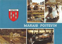 79-MARAIS POITEVIN-N°4011-B/0091 - Sonstige & Ohne Zuordnung