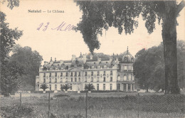 77-NOISIEL-LE CHATEAU-N 6008-B/0043 - Noisiel