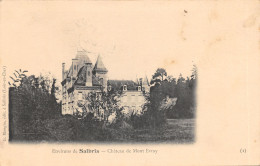 41-SALBRIS-CHATEAU DE MONT EVRAY-N 6008-A/0147 - Salbris