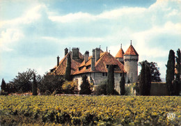 74-RIPAILLE CHATEAU -N°4012-A/0197 - Altri & Non Classificati