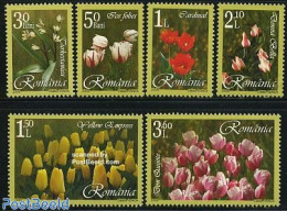 Romania 2006 Flowers 6v, Mint NH, Nature - Flowers & Plants - Unused Stamps