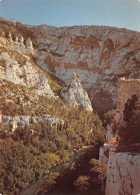 84-FONTAINE DE VAUCLUSE-N°4012-C/0301 - Autres & Non Classés