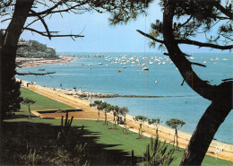 33-ARCACHON-N°4012-C/0145 - Arcachon