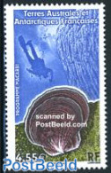 French Antarctic Territory 2009 Macarbi Programme 1v, Mint NH, Nature - Sport - Shells & Crustaceans - Diving - Ungebraucht