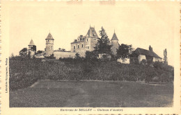 01-BELLEY-CHATEAU D ANDERT-N 6008-G/0001 - Belley