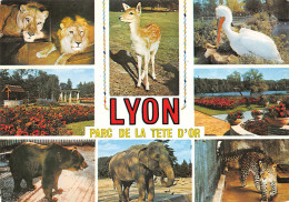 69-LYON-N°4012-D/0387 - Other & Unclassified