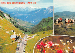 74-COL DE LA COLOMBIERE-N°4012-D/0121 - Altri & Non Classificati