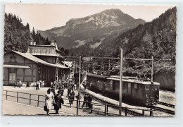 Schweiz - Station Brünig Kulm (BE)  Verlag W. Schild 1360 - Other & Unclassified