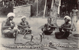 SRI LANKA - Snake Charmers - Publ. Plâté Ltd. 20 - Sri Lanka (Ceylon)