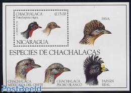 Nicaragua 1994 Birds S/s, Nature Protection, Mint NH, Nature - Birds - Nicaragua