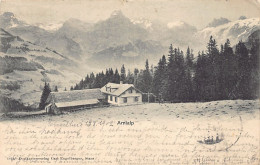 Schweiz - Arnialp (UR) Totalansicht - Verlag C. Engelberger 1012 - Sonstige & Ohne Zuordnung