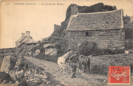 29-PRIMEL-FERME DES ROCHERS-BŒUFS-N 6009-C/0187 - Primel