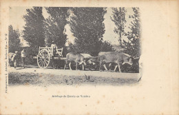 85-ATTELAGE DE BŒUFS EN VENDEE-N 6009-B/0127 - Autres & Non Classés