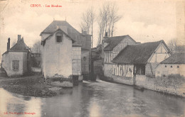 45-CEPOY-LES MOULINS-N 6009-B/0043 - Autres & Non Classés