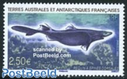 French Antarctic Territory 2009 Shark 1v, Mint NH, Nature - Fish - Nuovi