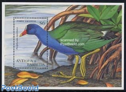 Antigua & Barbuda 1995 Birds S/s, Purple Gallinule, Mint NH, Nature - Birds - Antigua Et Barbuda (1981-...)