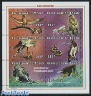 Chad 1998 Birds 6v M/s, Mint NH, Nature - Birds - Birds Of Prey - Other & Unclassified