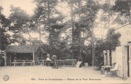 77-FONTAINEBLEAU-PLATEA DE LA TOUR DENNECOURT-N 6009-A/0229 - Fontainebleau